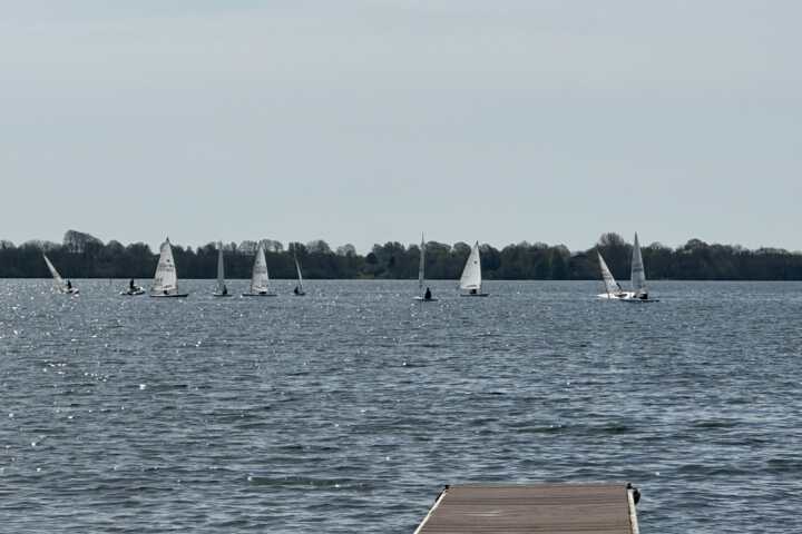IMG 9152